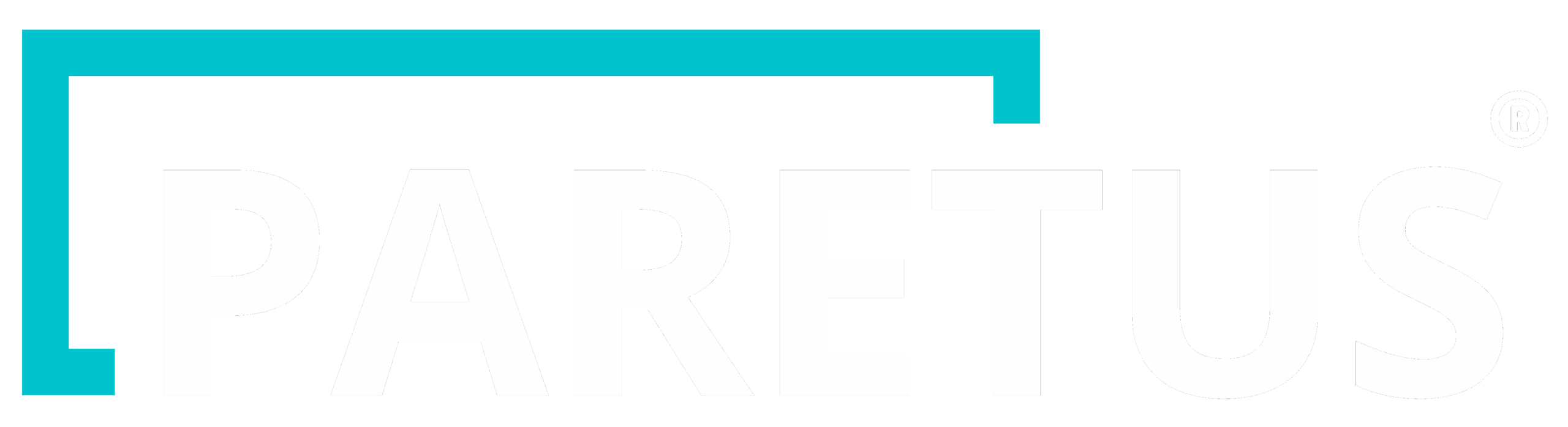 221012Logo_paretus-DESKTOP-UQAQF8O-2 black tuerkis transparent